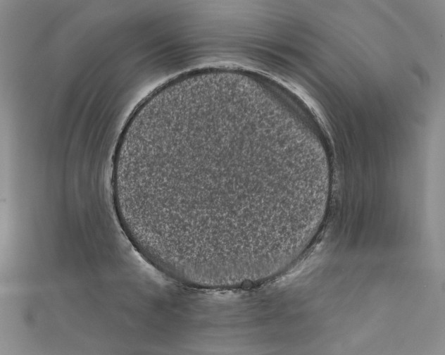 X0000110940799200907171607
