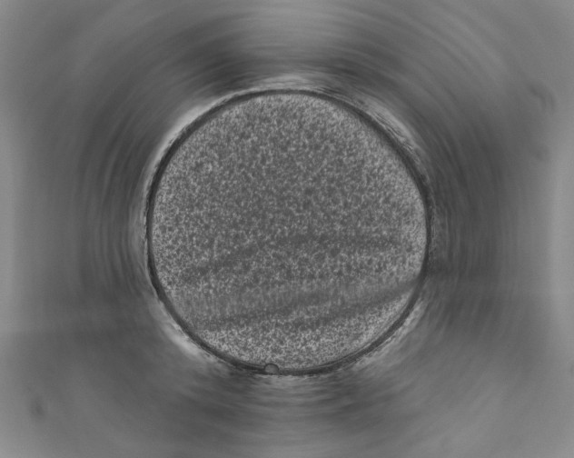 X0000110940800200907171607