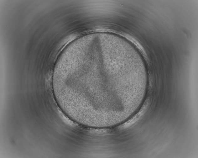 X0000110940801200907171607