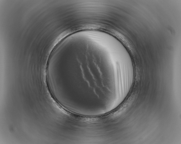 X0000110940802200907171607