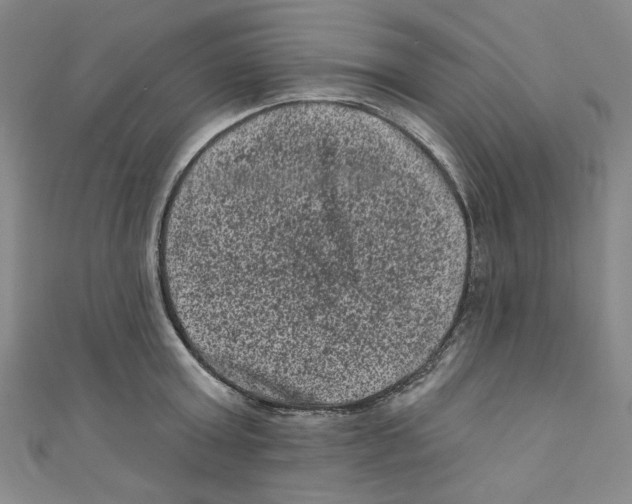 X0000110940803200907171607