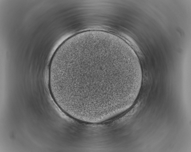 X0000110940804200907171607