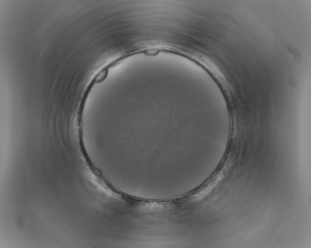 X0000110940806200907171607