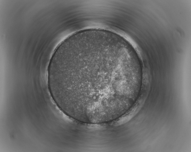X0000110940807200907171607