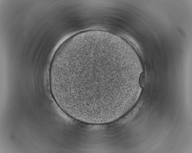 X0000110940808200907171607