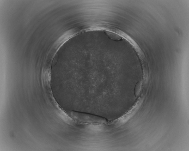 X0000110940809200907171607