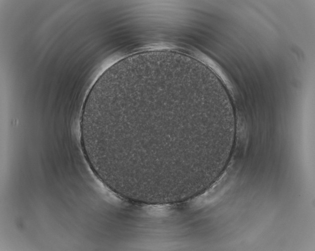 X0000110940810200907171607
