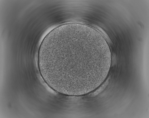 X0000110940812200907171606