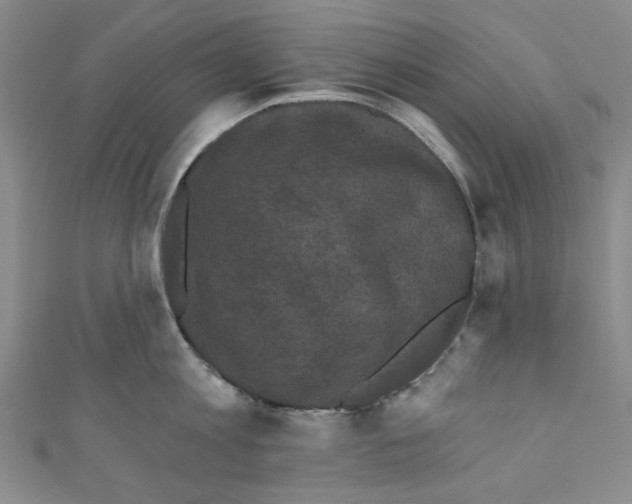 X0000110940813200907171606