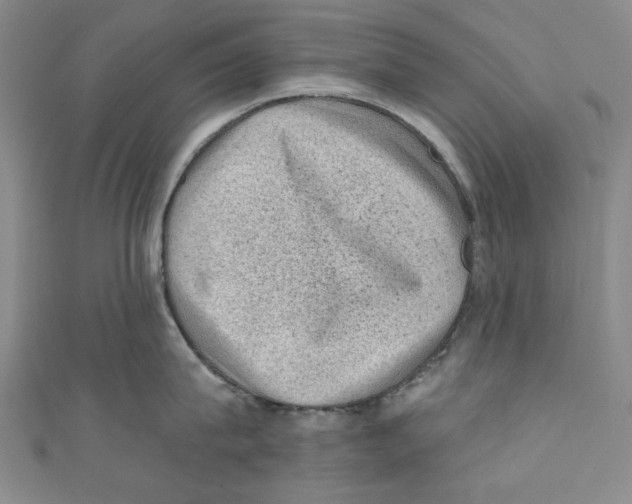 X0000110940815200907171606