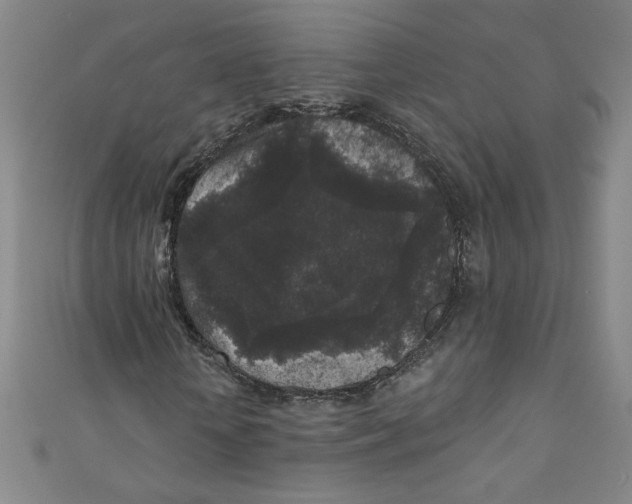 X0000110940818200907171606