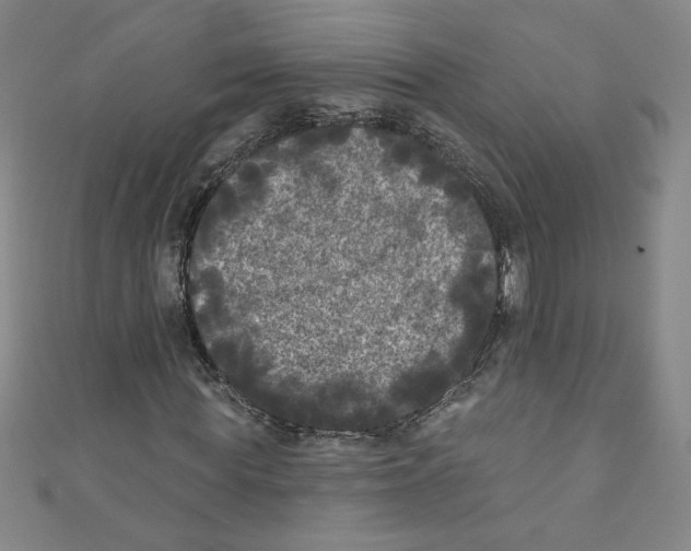 X0000110940819200907171606