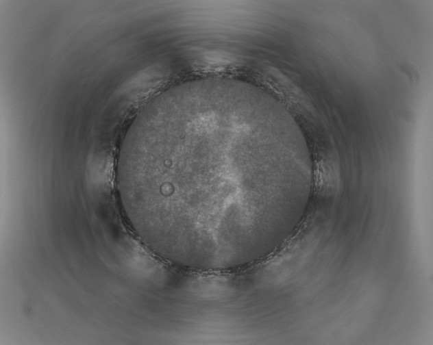 X0000110940820200907171606