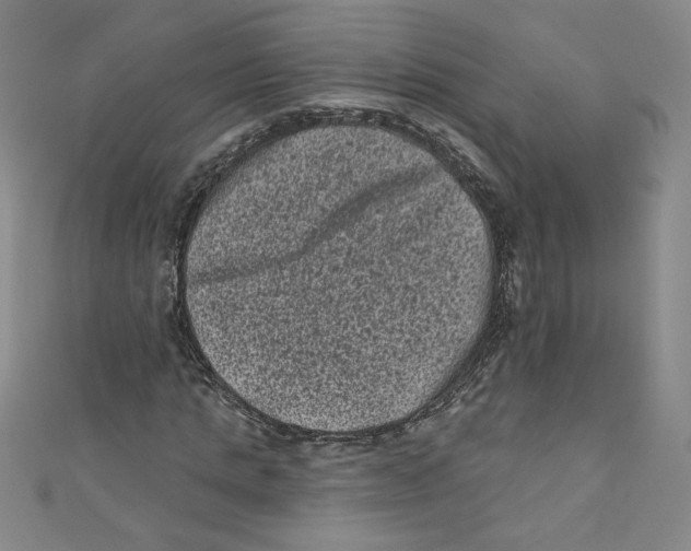 X0000110940821200907171606