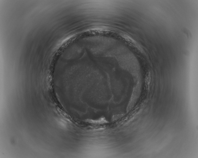 X0000110940822200907171606