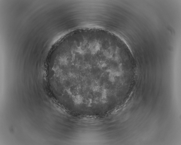 X0000110940823200907171606