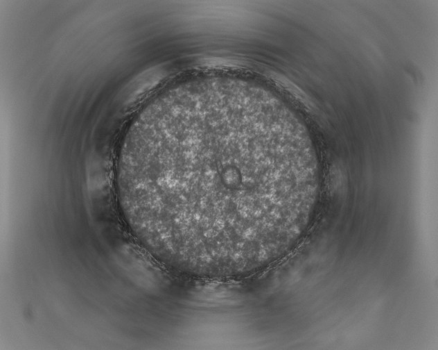 X0000110940824200907171606