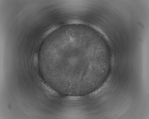 X0000110940825200907171606