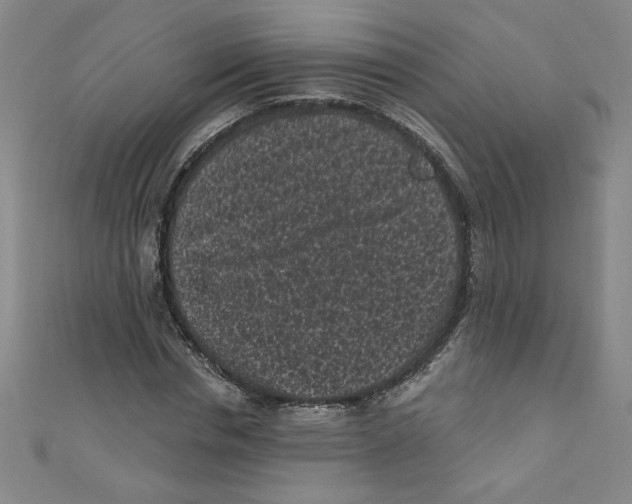 X0000110940826200907171606