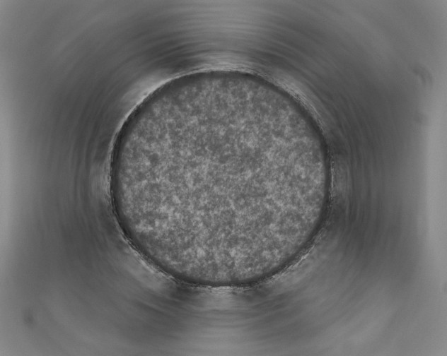 X0000110940828200907171606