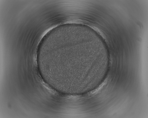 X0000110940830200907171606