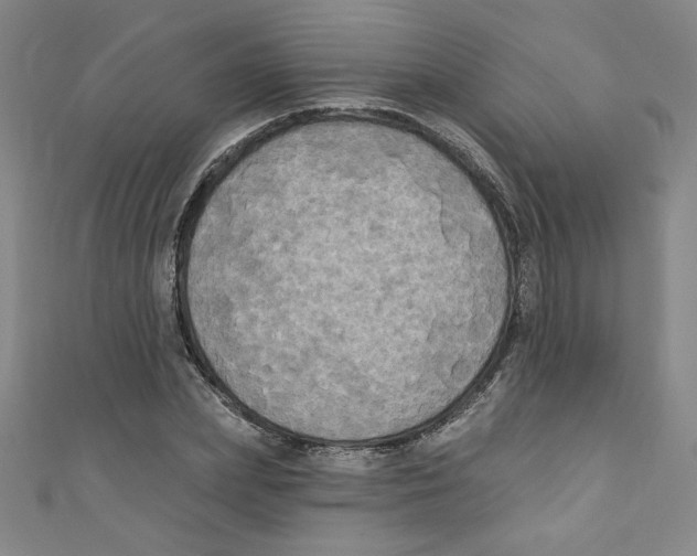 X0000110940831200907171606