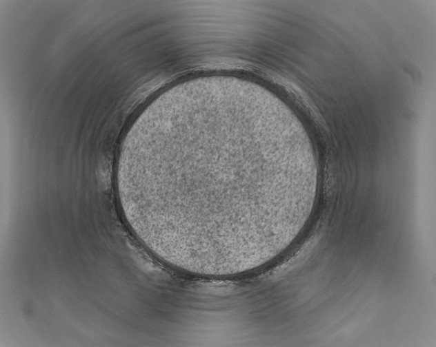 X0000110940833200907171606