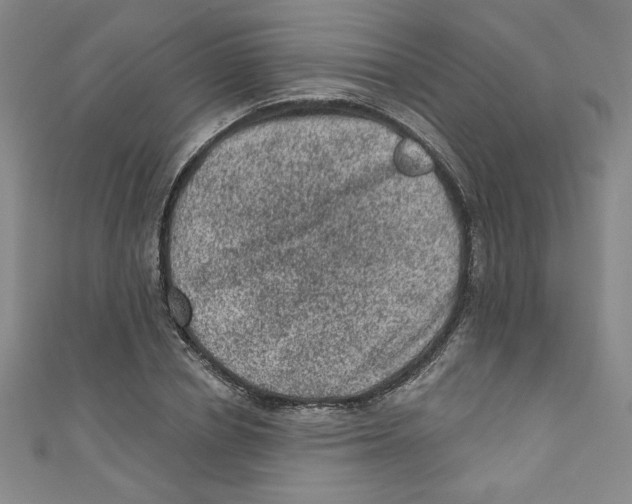 X0000110940834200907171606