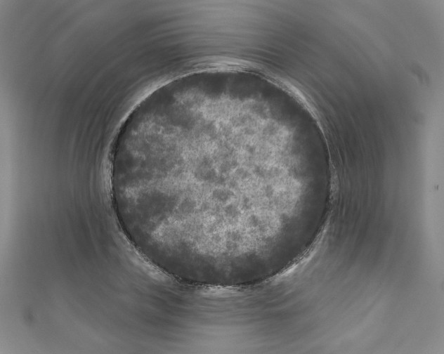 X0000110940835200907171606