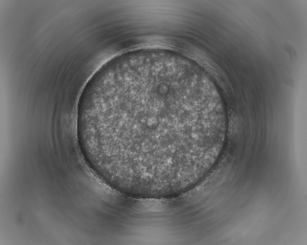 X0000110940836200907171606
