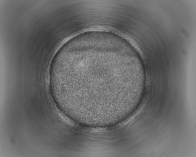X0000110940837200907171606