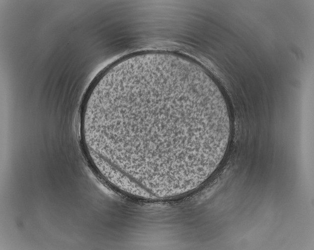 X0000110940838200907171606