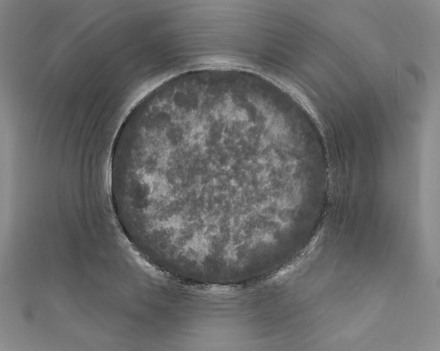 X0000110940839200907171606