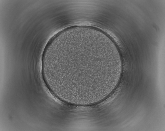 X0000110940840200907171606