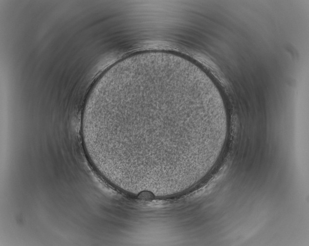X0000110940841200907171606