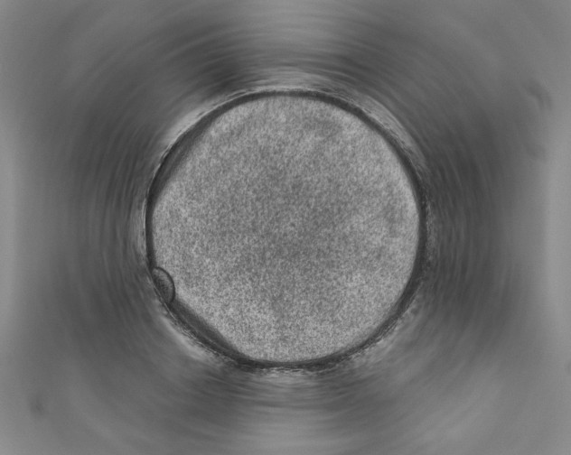 X0000110940842200907171606