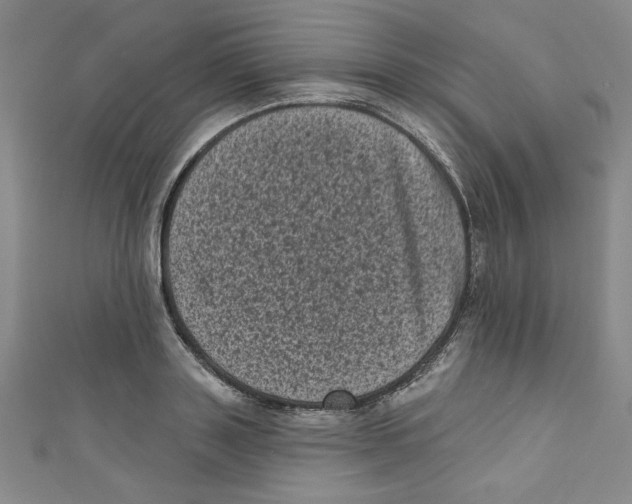 X0000110940843200907171606