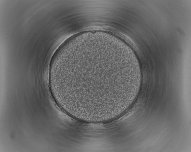 X0000110940844200907171606