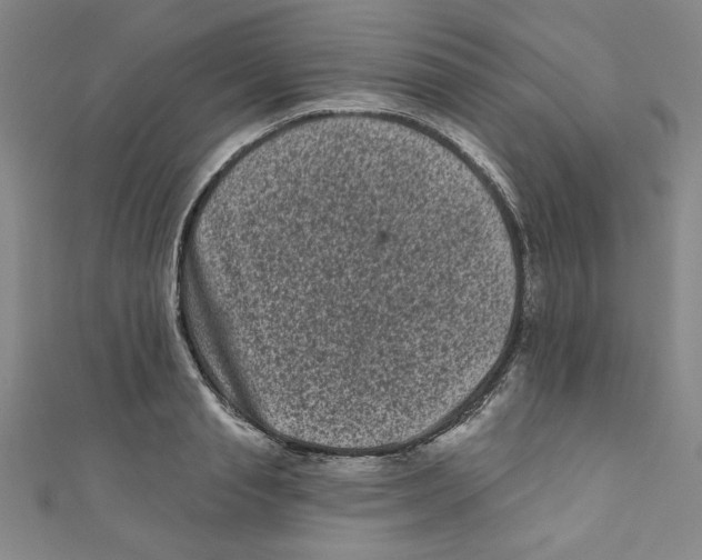X0000110940845200907171606
