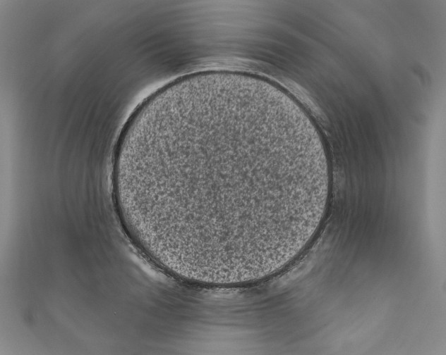 X0000110940846200907171606