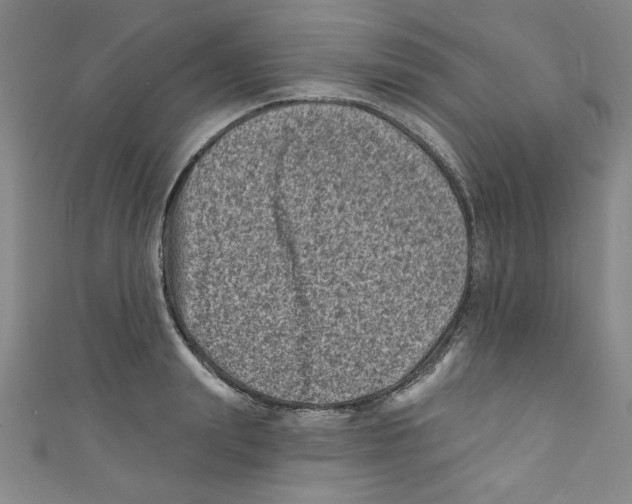 X0000110940847200907171606