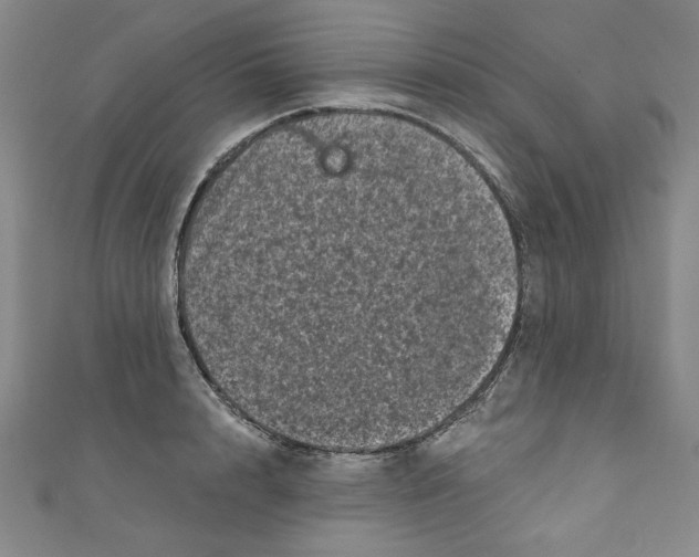 X0000110940848200907171606