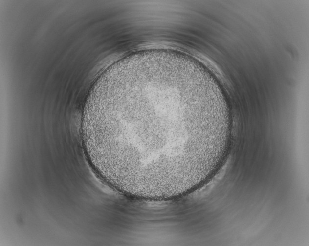 X0000110940849200907171606
