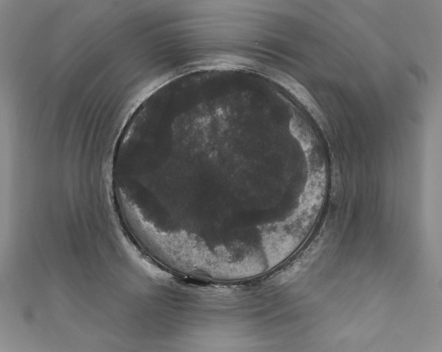 X0000110940850200907171606
