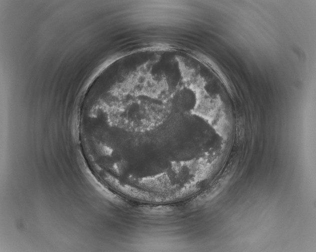 X0000110940851200907171606