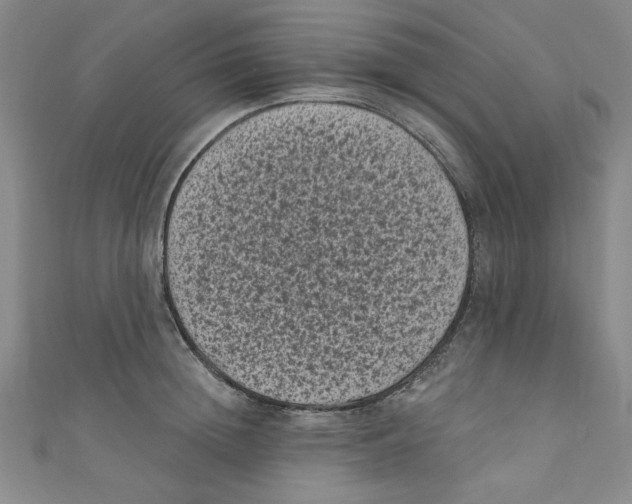 X0000110940852200907171606
