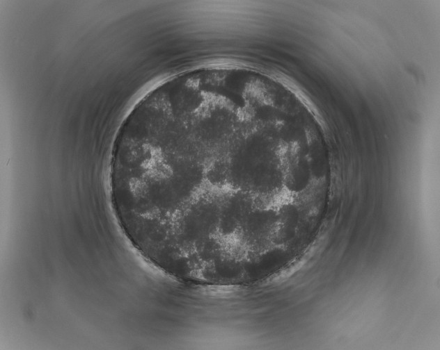 X0000110940853200907171606