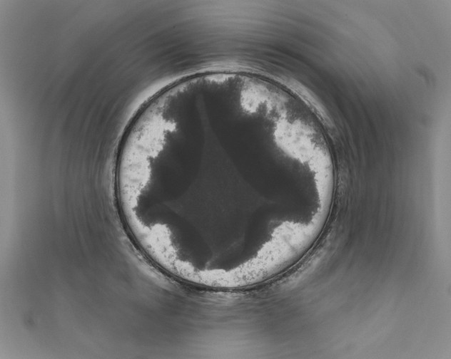 X0000110940854200907171606