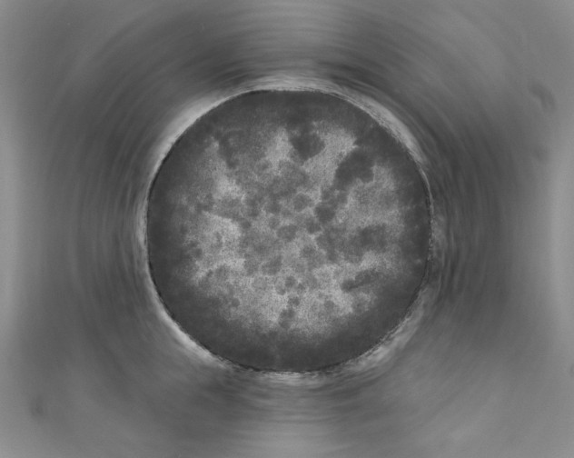 X0000110940855200907171606
