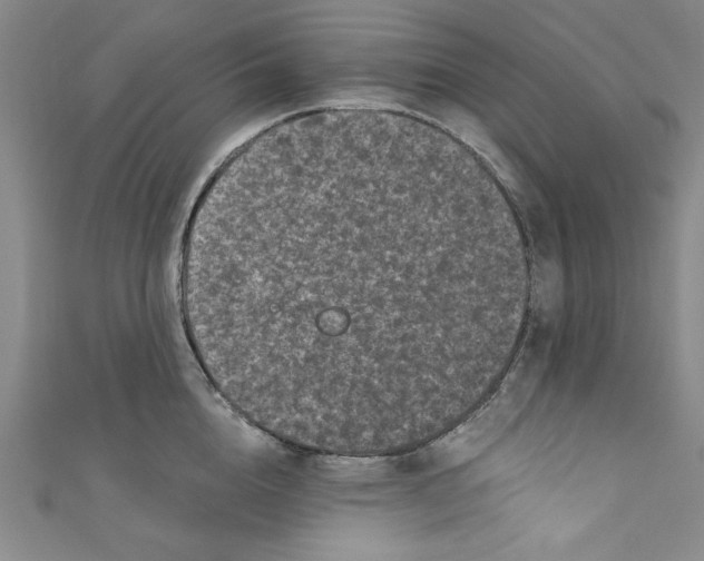 X0000110940856200907171606